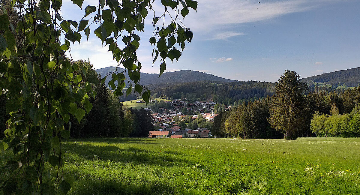 Hirschenstein Dorfansicht